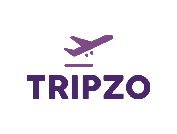 website logo